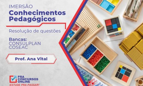 IMERSÃO EM CONHECIMENTOS PEDAGÓGICOS – PROFESSORA ANA VITAL